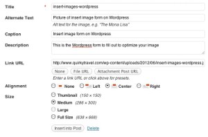 image-insert-wordpress